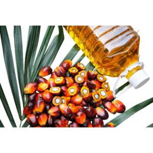 Palm Kernel Oil