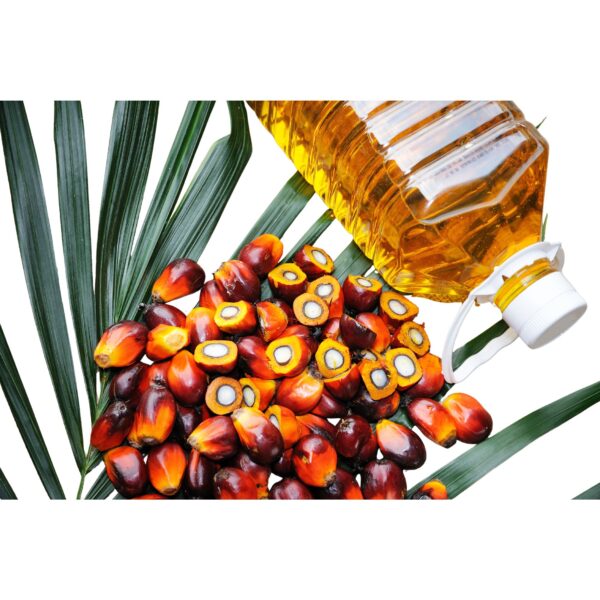 Palm Kernel Oil