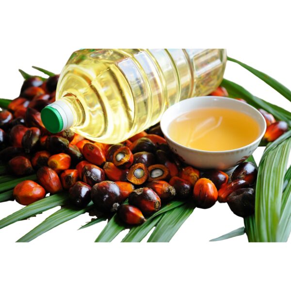Palm Oil